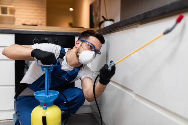 Reliable Hideout, UT Pest Control Solutions