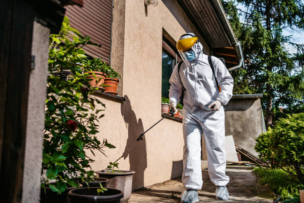 Best Mosquito Control Services  in Hideo, UT