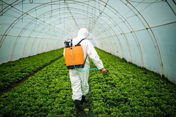 Best Affordable Pest Control Services  in Hideo, UT