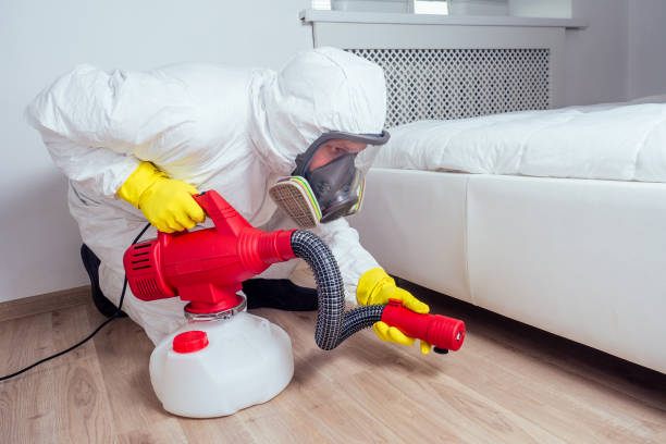 Best Rat Extermination Near Me  in Hideo, UT