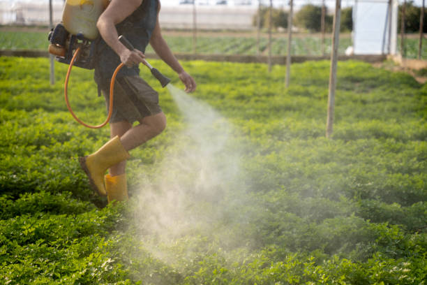 Best Residential Pest Control  in Hideo, UT