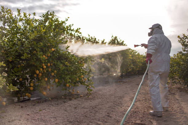 Best Emergency Pest Control  in Hideo, UT
