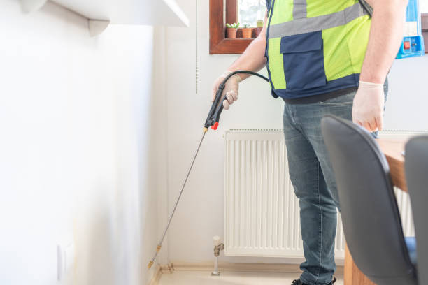 Best Wasp Removal Services  in Hideo, UT