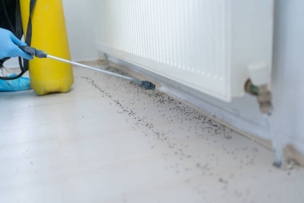 Best Exterminator Services  in Hideo, UT