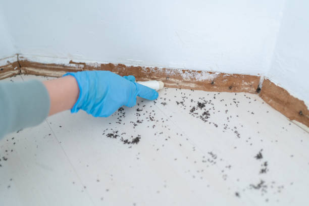 Best Wildlife Control Services  in Hideo, UT